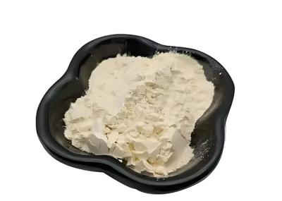 Boost Your Protein Intake With Pea Protein The Perfect Addition To Plant-Based Meat Alternatives