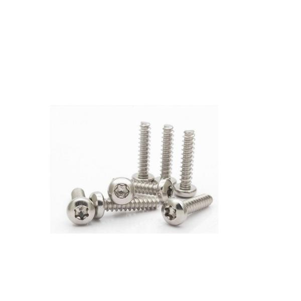 M2.5 Ferro inoxidável 304 Pan Head Self-Tapping Screw Din7981 para chapa de metal- 6 8 10 12 tamanhos