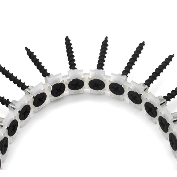 Plastic Strip Collated Black Phosphated Drywall Screw Nail For Installation