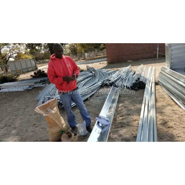 Single Layer Roof and Side Ventilation Namibia Commercial Greenhouse for Tomatoes Farming