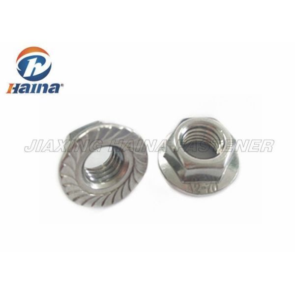 Stainless Steel M12 DIN6923 Serrated Hex Flange Nuts in Stock