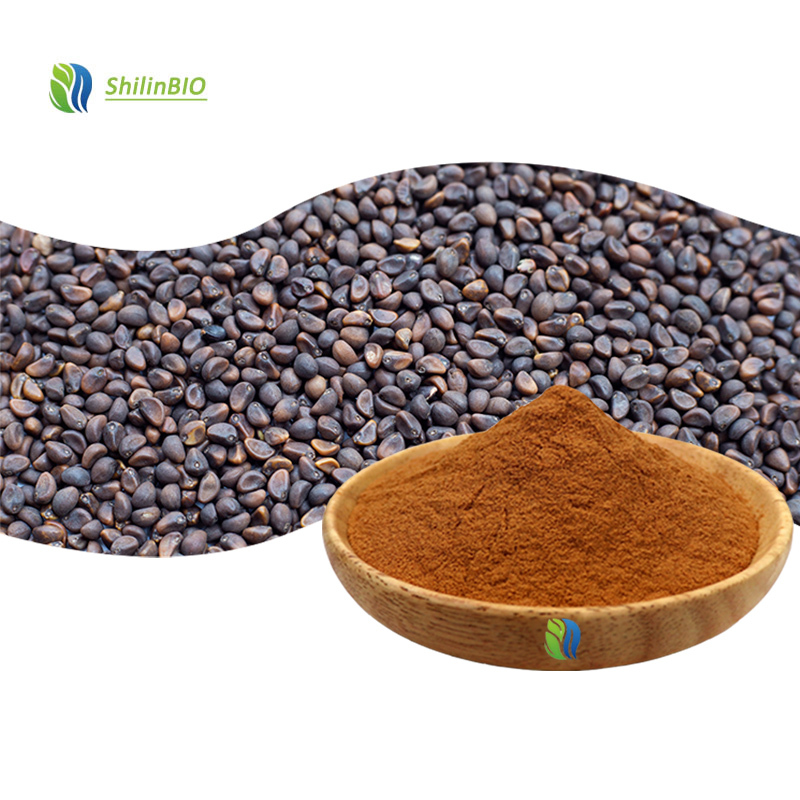 High Quality 10:1 20:1 30:1 Semen Pharbitidis Extract Powder Water Soluble