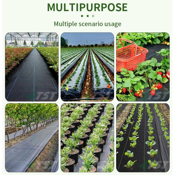 100% Polypropylene Weed Control Mat Landscape Fabric For 3-5 Years Durable Ground Cover