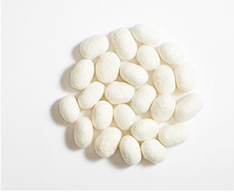 Silk Amino Acid Raw Material White Powder Silk Protein For Hair Skin Care