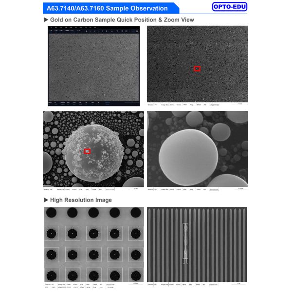 Opto Edu A63.7140A63.7160 2000000x Microscópio Eletrônico de Escaneamento de Emissão de Campo Schottky