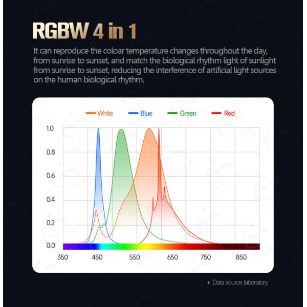 High Brightness 1W Power RGBW 4 Colors SMD LED Chip 3838 RGBW LED 4-in-1 LED Dimmable Full Color Gamut Spectrum SMD for LED Strip Light for Smart Home Lamp