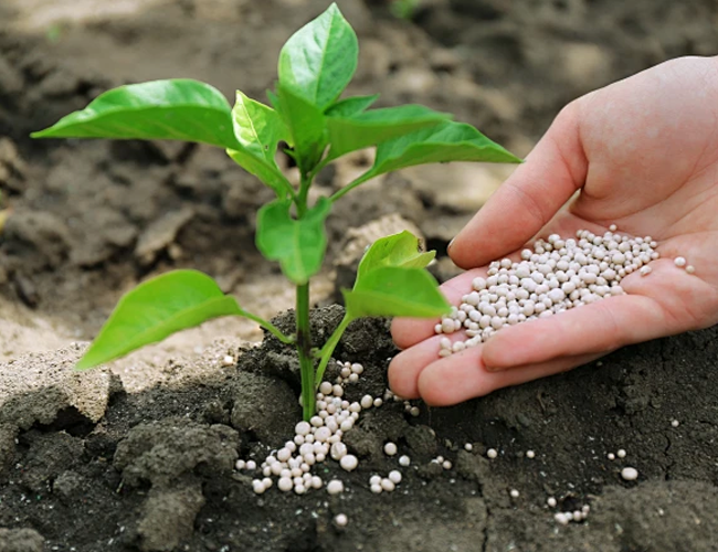 Water Soluble NPK Compound Fertilizer Rapid Nutrient Release