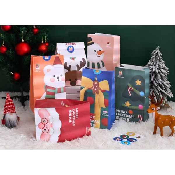SGS PMS Kraft Christmas Gift Packing Box Biscuit Candy Snack Packaging Bag
