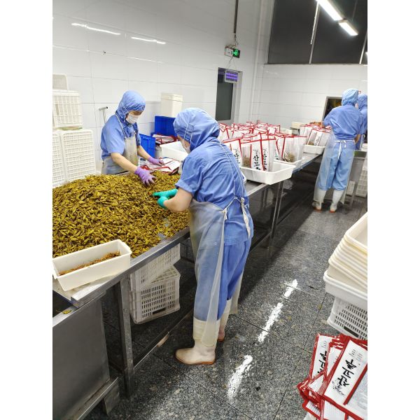 Wholesale  Chinese Cheap Price Delicious Fresh Pickled  Shibazuke GREEN Pickled PEPPER