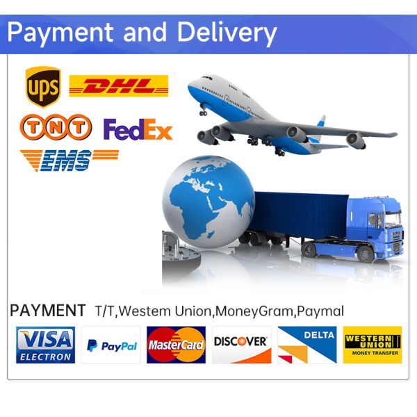 Stainless Steel Custom Metal Casing High Precision Sheet Metal Fabrication Aluminum Shell