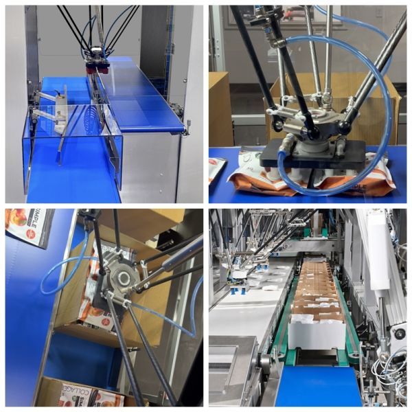 Automatic Spider Hand Robot Carton Case Packer Packing Machine
