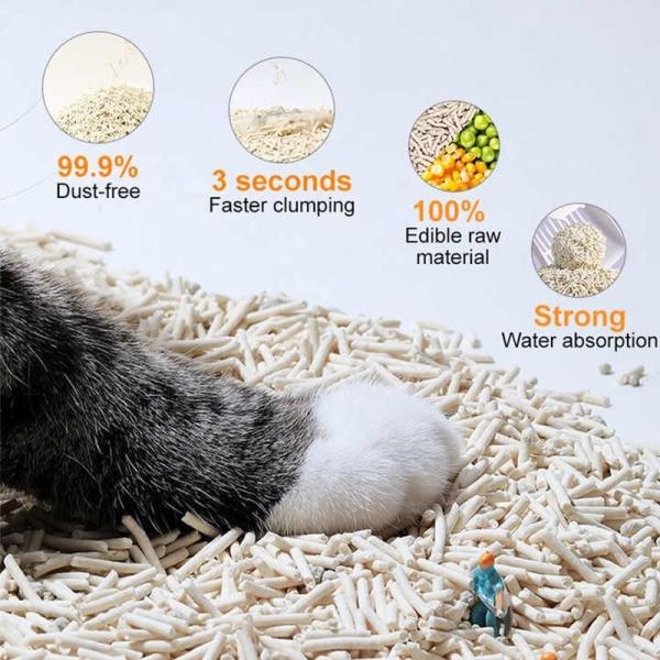 Fast Clumping Tofu Cat Litter for Easy and Convenient Litter Box Maintenance