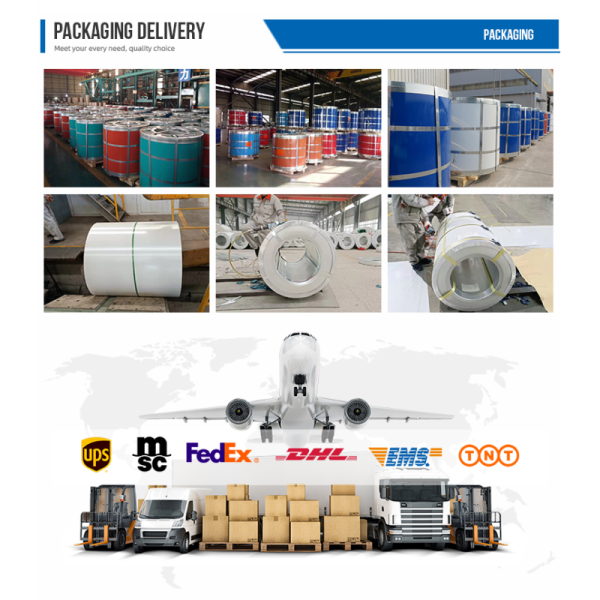 Cold Rolled Pre Painted Galvanized Steel Sheet Ppgi 10-1500MM