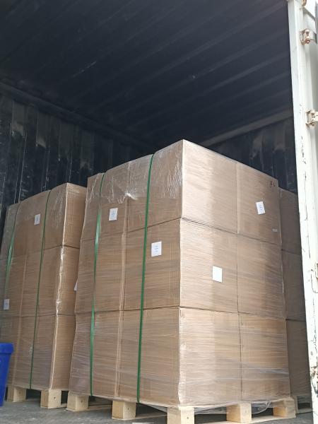 Bernet HDF100FS Descarga de válvula de pé de flange 150 mm para tanque de gasolina