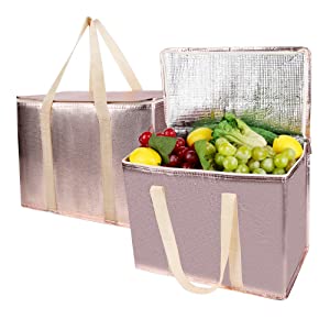 Insulated Food Delivery Bag Cooler Bags, Catering Therma For Doordash Catering Cooler Bags Keep Food Warm