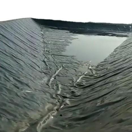 Waterproofing Plastic Fish Pond Liner HDPE Geomembrane with Double Smooth Technology