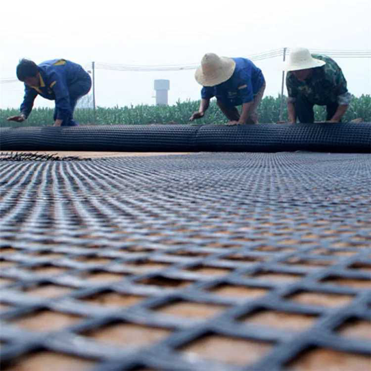Полипропилен двухосное Geogrid пластмассы PP на мягкое основание 50m дороги почвы