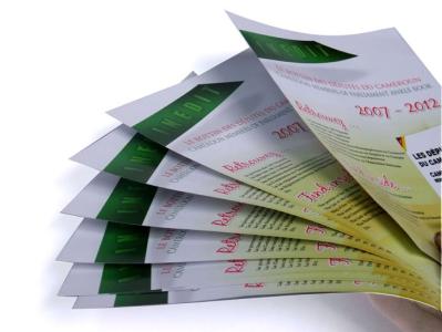 Services d'impression polychromes d'insecte de tract de papier d'affaires de coût bas d'OEM/ODM pour des annonces