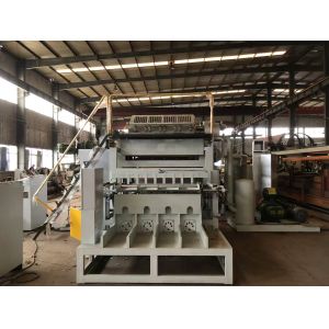 Wine Bottle And Coffee Cup Paper Tray / Egg Tray/ Carton Making Machine / Paper Pulp Molding Machine