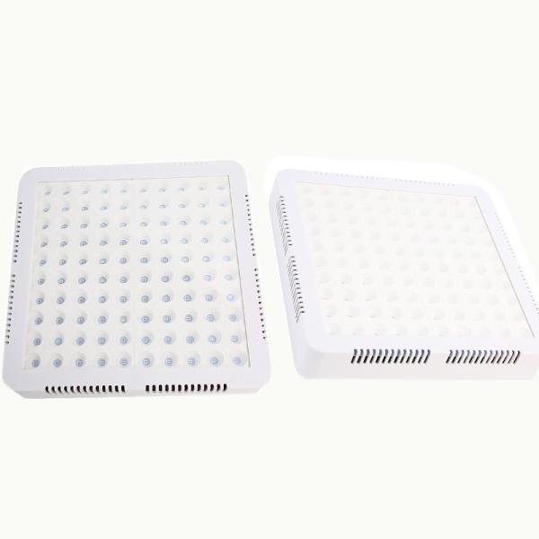 300W Indoor Garden LED Growth Lamp 265V Full Spectrum Grow Light For Greenhouse Plant