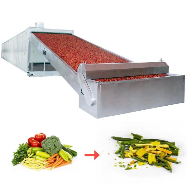 Power Regulation Continuous Belt Dryers Equipment MultiLayer Balanced Operation