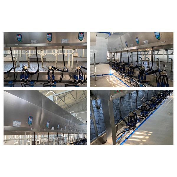 Plant Goat Cow Herringbone Milking Parlor Electronic Meter Equipment