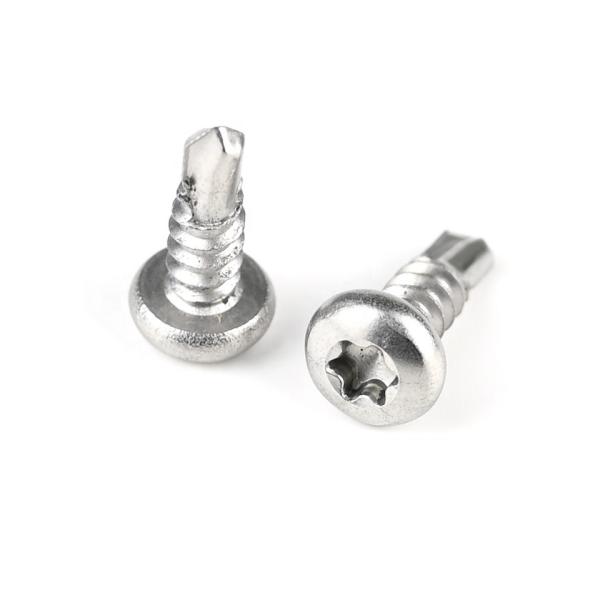 Standard According to Customers Needs Stainless Steel Torx Pan Head Self Drilling Screws