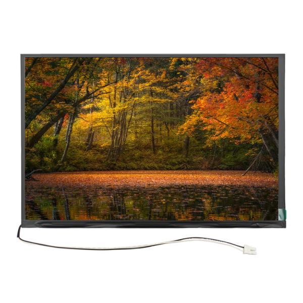 10.1 Inch High Brightness LCD Display 1000nits 1920x1200 With MIPI Interface