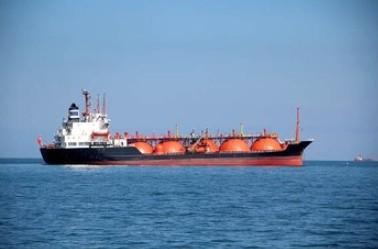 LCL shipping China Sea Freight Services To The UK International