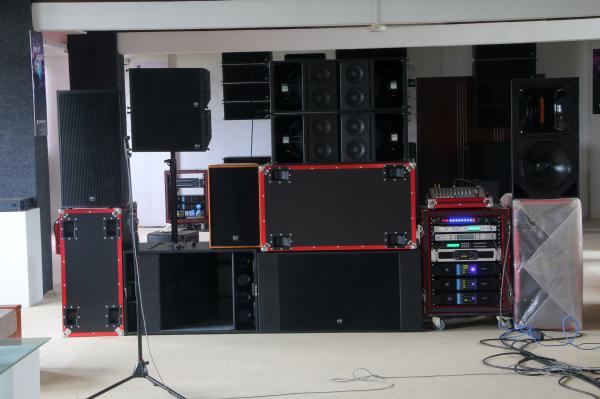 High SPL Plywood loudspeaker 2 x 18 Horn Loaded 4ohm 1600W Subwoofer For Living Event And Show