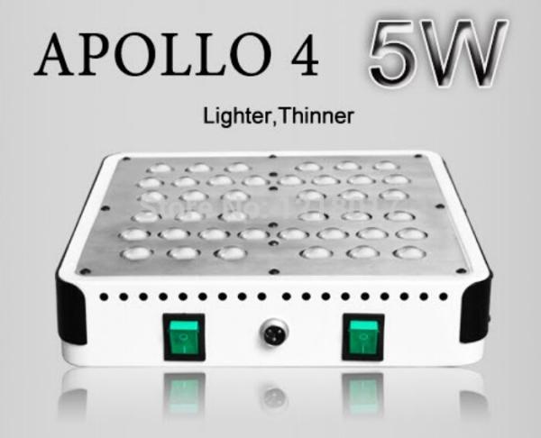 2016 horticulture led light 200w,cidly led 40 pcs 5W EPI chips Horticulture Indoor Grow