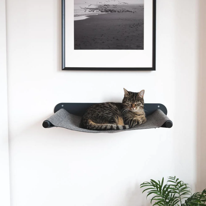 Платформа для царапины кошек на стене с серебряной полировкой металлической угловой мебели для кошек