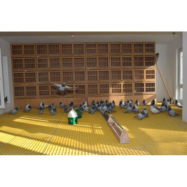 High Strength Molded Fiberglass Grating 38x38mm Insulated GRP Frp Grating for Marine