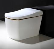 Temperature Regulation Auto Wash Toilet Bathroom Sanitary Ware White Color