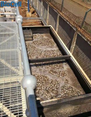 5.5t 66m3/H Poultry Farm MBBR Wastewater Treatment Plant ISO9001