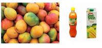 Mangue adaptée aux besoins du client Juice Processing Machine Line de catégorie comestible d'acier inoxydable