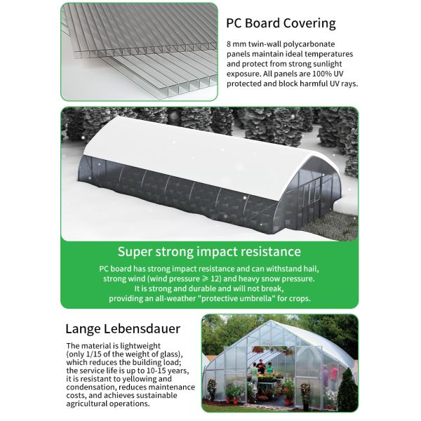Baolida 6x12m Gothic Tunnel Greenhouse with 8mm PC Board Cover