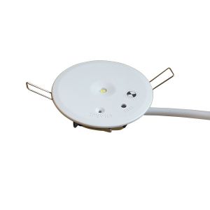 Industrial Ceiling Recessed LED Emergency Downlight Ni-Mh Battery Powered