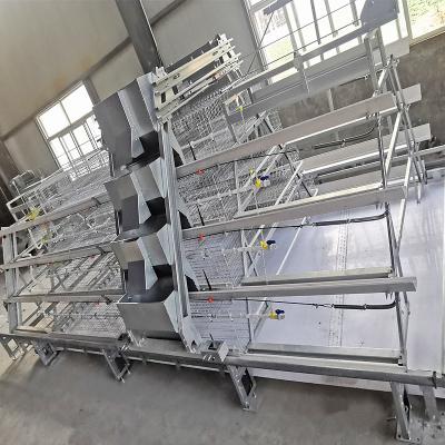 240 pássaros um tipo - gaiolas dias de idade de 1 ninhada para o material de aço dos pintainhos Q235