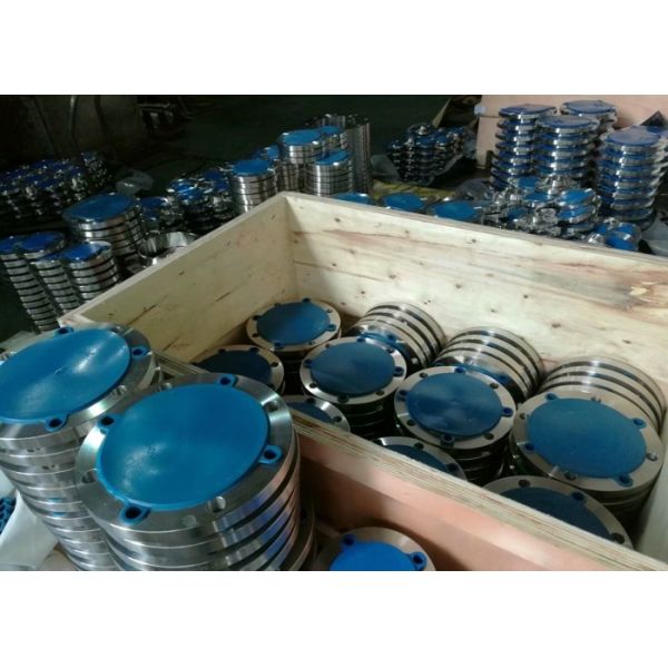 Forged JIS B2220 SO FF SUS316L FLANGE BV MODE II SHIP BUILDING APPLICATIOSIZE 2'-24'