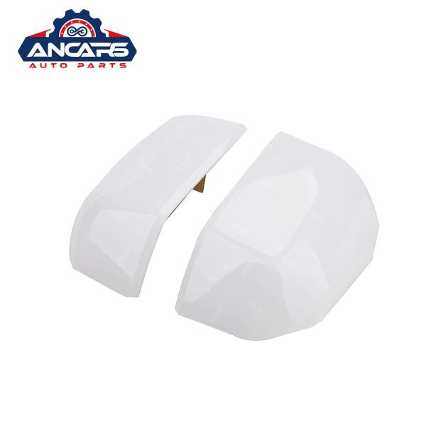 Paste Ford Side Mirror Parts , 2015-2020 F150 Side Mirror Cover