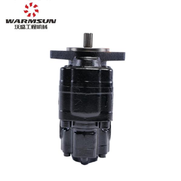 60250775 Original Double Gear Pump Set CBWG40D12R For SANY Crane
