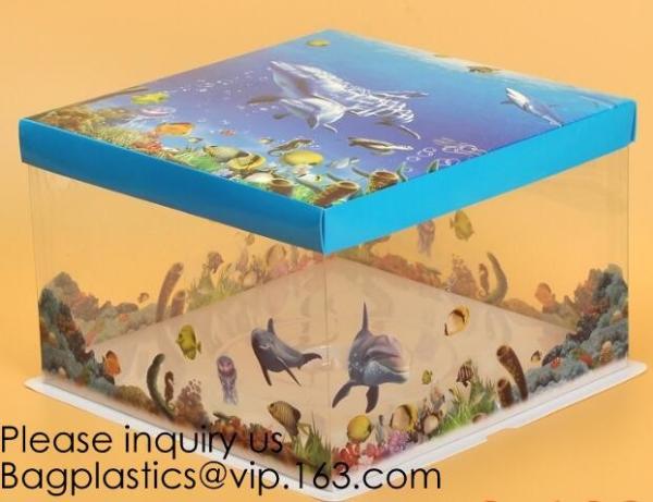Brush boxes, Toy case, Gift, Fruit, Cake, Food, Cosmetics, Electronic, Household, Stationery, Clothing, Appreal