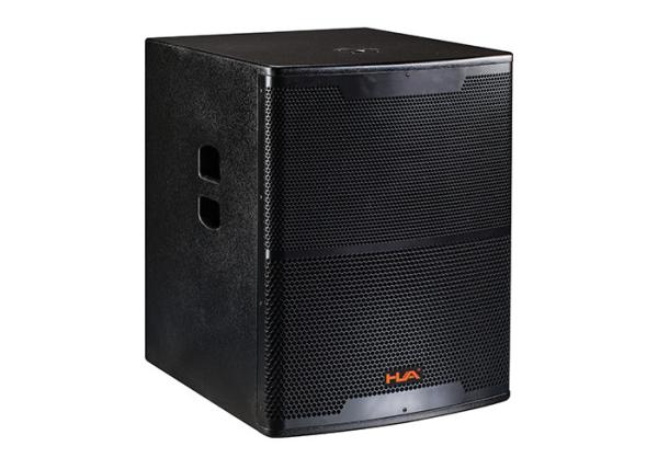 600W Pro Subwoofer Live Sound Live Speaker