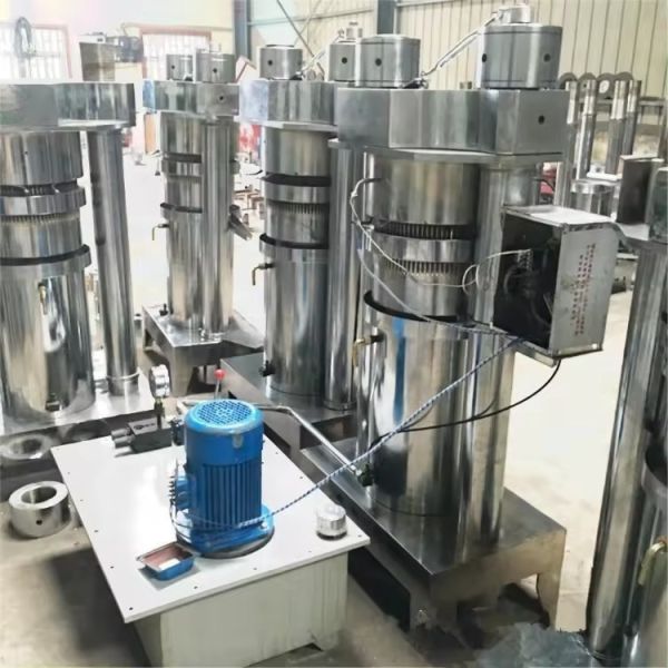 Homemade Cotton Seed Cashew Soybean Oil Press Processing Castor Oil Extraction Machine