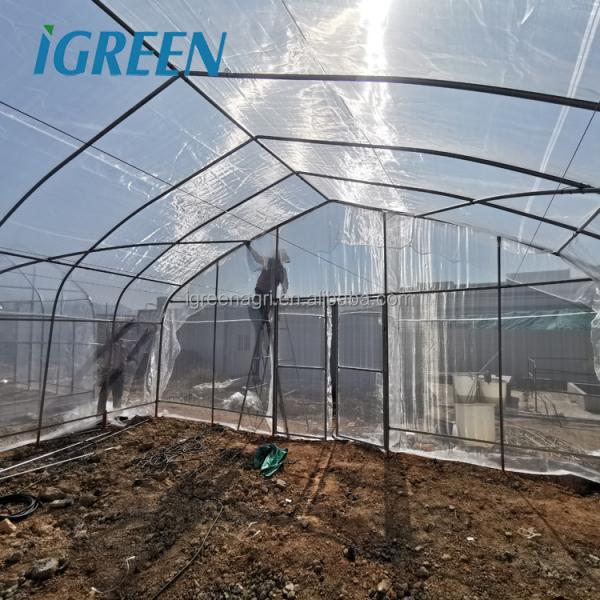 19.68' Climate Control Greenhouse PE Roof Height 6m With Ceiling Fan