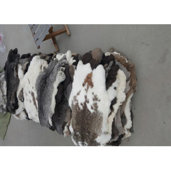 Capa que alinea la densidad pesada mullida suave real de Rex de la piel entera del conejo para el invierno