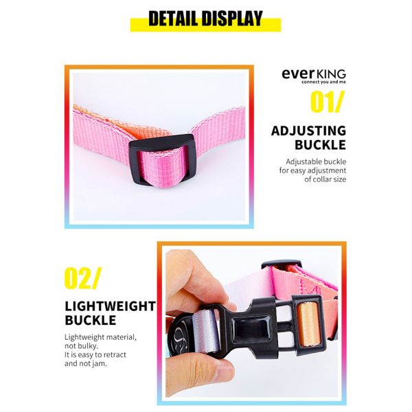 Gradient Waterproof Harness Collar Leash Set Blue Pink Purple Puppy Collar And Lead Set