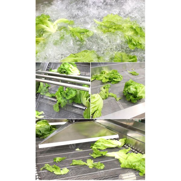 Вибрация технологической линии фрукта и овоща 4.5KW стекая оборудование