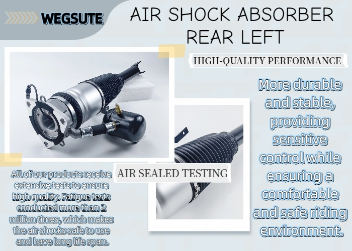 Audi A8 D3 Air Suspension Shock Strut  Rear Left 4E0616001G 4E0616001D  ﻿